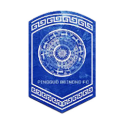 广西平果呗侬女足首发阵容