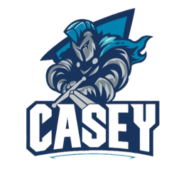 凯西骑士首发阵容