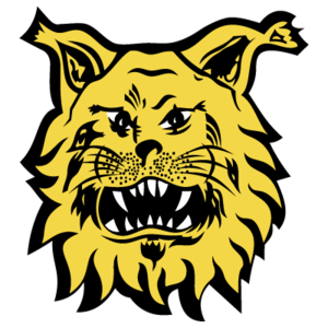 埃尔维斯B队首发阵容