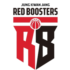 安养正官庄队徽