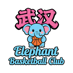 武汉大象篮球首发阵容