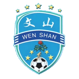 文山队首发阵容