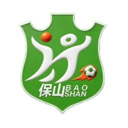 保山队首发阵容