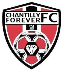 查迪利首发阵容