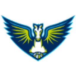 达拉斯飞翼首发阵容