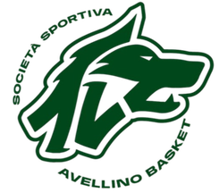 阿维利诺首发阵容